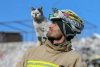 "În tot acest întuneric, puțină lumină" | Pisica salvată de sub ruinele din Turcia a fost adoptată de pompierul de care nu s-a mai dezlipit 818752
