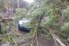 Un copac a căzut peste o mașină aflată în mers, pe DN1 în Azuga! Trafic blocat complet 819528