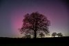 Aurora boreală, surprinsă în imagini uluitoare, pe cerul din Marea Britanie. Cum se explică fenomenul rar 819696
