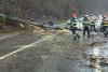 Copac căzut peste o mașină aflată în mers, la Sighișoara! Șoferul a fost rănit 819617