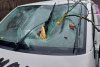 Copac căzut peste o mașină aflată în mers, la Sighișoara! Șoferul a fost rănit 819620