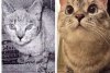Ea este Nala, cea mai faimoasă pisică din lume. A devenit milionară după ce a fost salvată dintr-un centru de animale abandonate 820459