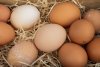 De unde provin ouăle de la Lidl. Mulţi români ignoră detaliul de pe etichetă  822934