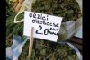 "Urzici dacice" și "urzici ortodocse", vândute de români în piețe, virale pe internet. Cât costă un kilogram  823875