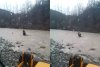 Un bărbat a murit luat de curent pe râul Putna, încercând să ajungă la animalele lui 826421