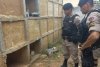 O femeie îngropată de vie a fost salvată de poliţişti. Strigătele disperate au fost auzite într-un cimitir din Brazilia 826495