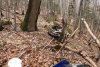 Momentul în care un motociclist a fost atacat de urs, într-o pădure din Braşov 826426