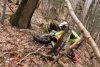 Momentul în care un motociclist a fost atacat de urs, într-o pădure din Braşov 826427