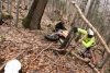 Momentul în care un motociclist a fost atacat de urs, într-o pădure din Braşov 826430