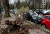 Prăpăd în București: copaci rupți, mașini avariate și un semafor pus la pământ de vântul puternic. Autobuze STB deviate 826671