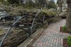 Prăpăd în București: copaci rupți, mașini avariate și un semafor pus la pământ de vântul puternic. Autobuze STB deviate 826673