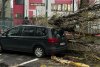 Prăpăd în București: copaci rupți, mașini avariate și un semafor pus la pământ de vântul puternic. Autobuze STB deviate 826674