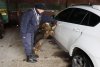 Un român a rămas fără un BMW X6, după ce poliţiştii de frontieră din Botoşani au primit o alertă 826979