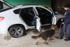 Un român a rămas fără un BMW X6, după ce poliţiştii de frontieră din Botoşani au primit o alertă 826980