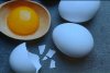 Cum apar ouăle cu două gălbenuşuri şi cât sunt de sănătoase 828054
