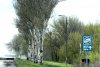 "Nat, mă auzi? Nat, răspunde!" | Un obuz rusesc a căzut între două mașini ale unei echipe CNN care filma în Ucraina, aproape de linia frontului 829601
