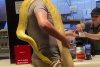 Un bărbat a intrat cu un şarpe uriaş la gât, într-un fast-food din România 830500