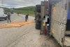 Un camion încărcat cu sute de oi s-a răsturnat în Bistriţa-Năsăud. Zeci de animale au murit pe loc 832778