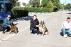 Ares, Ben şi Silva, trei câini jandarmi, ies la pensie, după 13 ani: "Vă mulţumim pentru tot ce aţi făcut pentru noi... pentru oameni!” 832886