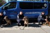 Ares, Ben şi Silva, trei câini jandarmi, ies la pensie, după 13 ani: "Vă mulţumim pentru tot ce aţi făcut pentru noi... pentru oameni!” 832888