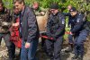 Misiune specială a jandarmilor: Au salvat un cerb care se rătăcise pe străzile din Braşov 833145