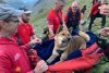 Câine din rasa Atika, salvat după ce a escaladat cel mai înalt munte din Anglia | "A fost o bucurie să car o astfel de victimă" 834093