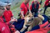 Câine din rasa Atika, salvat după ce a escaladat cel mai înalt munte din Anglia | "A fost o bucurie să car o astfel de victimă" 834094