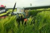 Un avion a aterizat forțat într-un lan de grâu, în Ialomița. Pompierii intervin la fața locului 834850