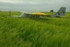 Un avion a aterizat forțat într-un lan de grâu, în Ialomița. Pompierii intervin la fața locului 834851
