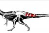 O nouă specie de dinozaur carnivor, descoperită în Spania 835202