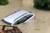 Elon Musk vine în ajutorul italienilor afectați de inundații 835329