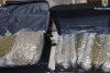 Polițiștii antidrog din Oradea au confiscat peste 15 kilograme de canabis de la un cetățean străin 835937