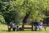 Primele imagini cu Regele Charles al III-lea la picnicul de la Valea Zălanului 838014