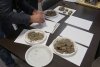 Un sibian a descoperit o comoară veche de 1700 de ani. Recompensa pe care o va primi bărbatul pentru banii găsiţi 838285