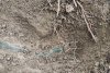 Sabie antică, găsită de un bărbat într-o pădure din Zalău | Este asemănătoare cu cea găsită în Germania 841304