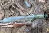 Sabie antică, găsită de un bărbat într-o pădure din Zalău | Este asemănătoare cu cea găsită în Germania 841308