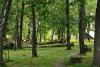 Pădurea din România, despre care se spune că ascunde un portal magic spre altă lume 843934
