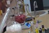 Școala unde elevii învață să extragă uleiuri esențiale din flori și fructe | ”Parfum de chimie”, proiect inovativ 843972