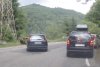 Un șofer din Argeș a încercat să lovească o ursoaică cu pui, cu mașina, pe Transfăgărășan. Cu o mână pe volan, cu cealaltă filma 844071