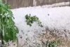 Grindina a făcut prăpăd în mai multe zone din țară | Covor alb de gheață în toiul verii, în urma fenomenelor extreme 844237