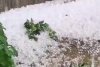 Grindina a făcut prăpăd în mai multe zone din țară | Covor alb de gheață în toiul verii, în urma fenomenelor extreme 844239