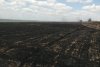 Zeci de hectare ard în Botoşani. Incendiul a pornit de la o scânteie mecanică 845558