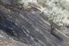 Incendiu lângă o plajă din Eforie Sud! Ard mai multe hectare de vegetație uscată 845722
