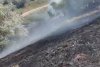 Incendiu lângă o plajă din Eforie Sud! Ard mai multe hectare de vegetație uscată 845723