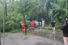 Furtuna puternică a făcut prăpăd în Bistrița. Un copac a căzut peste o mașină în care se aflau două fete | Operațiune de salvare cu militari 846370