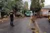 Un bărbat a ajuns la spital după ce un copac s-a prăbușit peste mașina în care se afla, în București. Piedone: ”Am făcut apel! Nu putem aștepta o tragedie pentru a lua măsuri" 846493