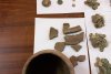 "Ne-au dat lacrimile de bucurie" | Tezaur monetar, vechi de 500 de ani, descoperit de trei bărbaţi într-o pădure din Bihor 846621