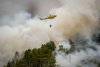 Incendii masive în Spania: Peste 4.000 de oameni salvaţi din calea flăcărilor 847003