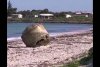 Descoperire misterioasă pe plajă! Un obiect metalic, neidentificat, a fost găsit în Australia. Se consideră că este periculos 847037