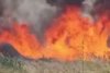 Incendiu de vegetaţie la un pas de Bucureşti. Traficul este deviat prin localitatea Măgurele 847229